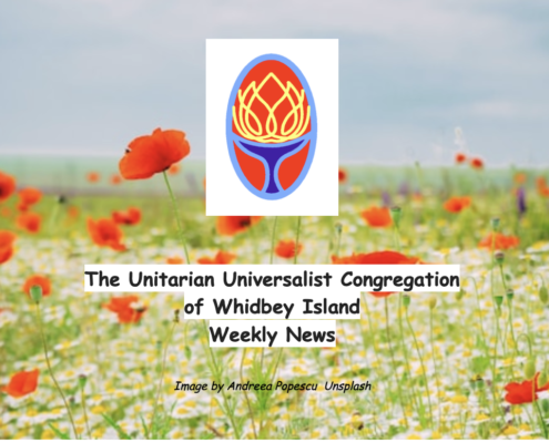 Poppies enews